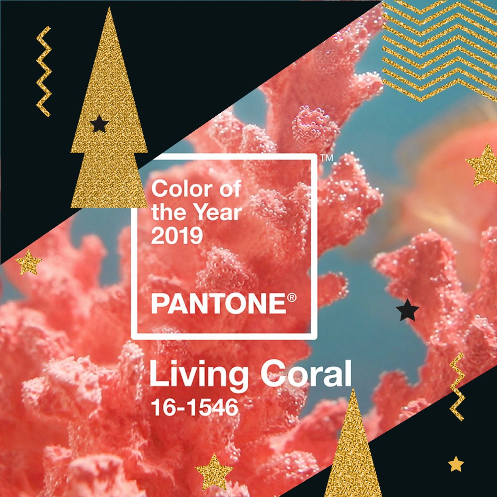 Pantone 2019 Yılının Rengini Seçti!